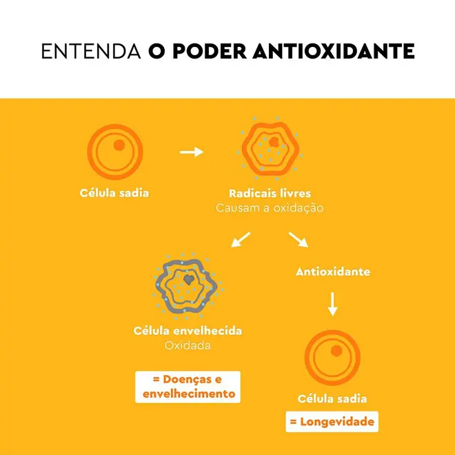 Lavitan Imunidade CDZSE - 30 Comprimidos Revestidos