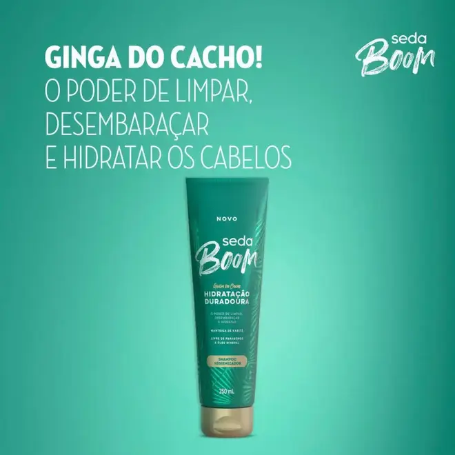 Shampoo Higienizador Seda Boom Hidratação Duradoura Bisnaga 250ml